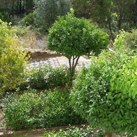 Benahavís Apartamento Los Naranjos חדר תמונה
