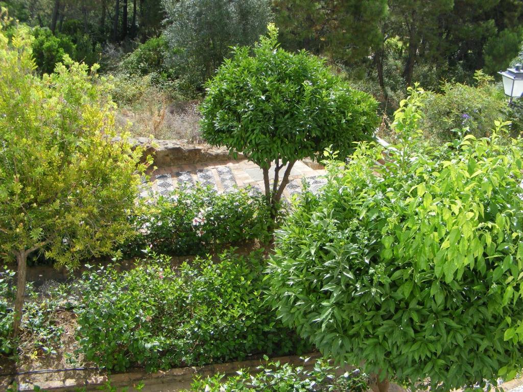 Benahavís Apartamento Los Naranjos חדר תמונה